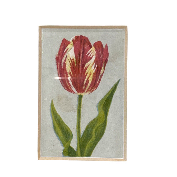 Antique 1916 Lithograph Artwork 'Rose by Bloem' Floral Print Small Wood Framed - Picture 2 of 7